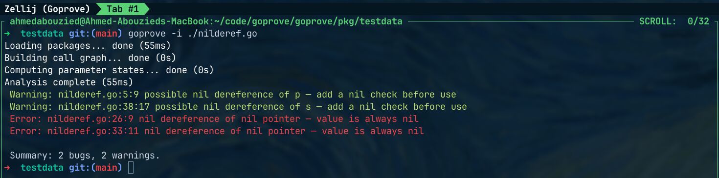 goprove reports two nil-pointer errors and two warnings